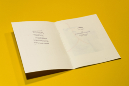 Friends Make Books