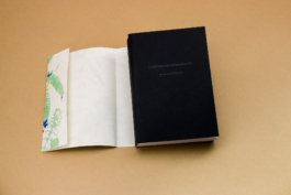 Friends Make Books