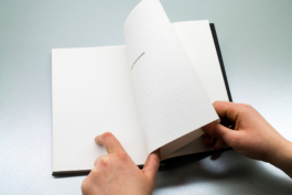Friends Make Books