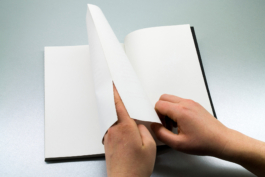 Friends Make Books