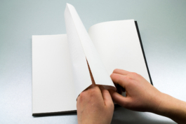 Friends Make Books