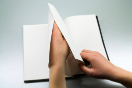 Friends Make Books