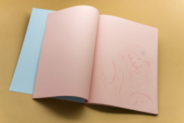 Friends Make Books