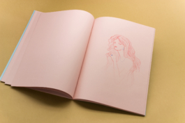 Friends Make Books
