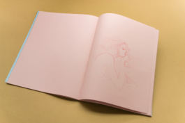 Friends Make Books