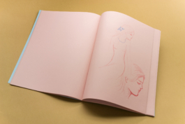 Friends Make Books