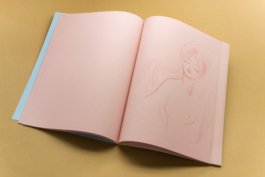 Friends Make Books