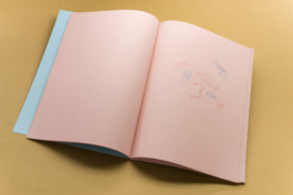 Friends Make Books