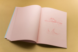 Friends Make Books