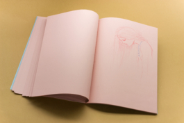 Friends Make Books